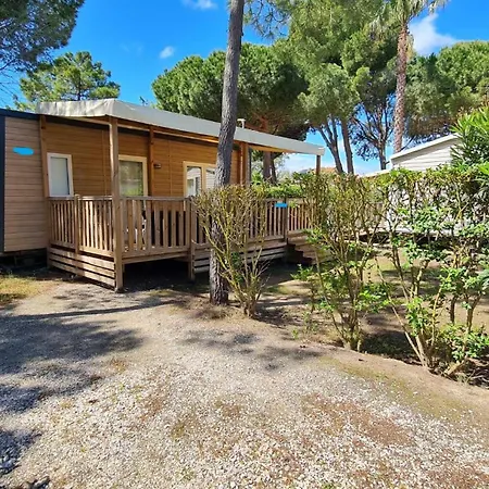 Campingplads Mobil Recent La Palmeraie *